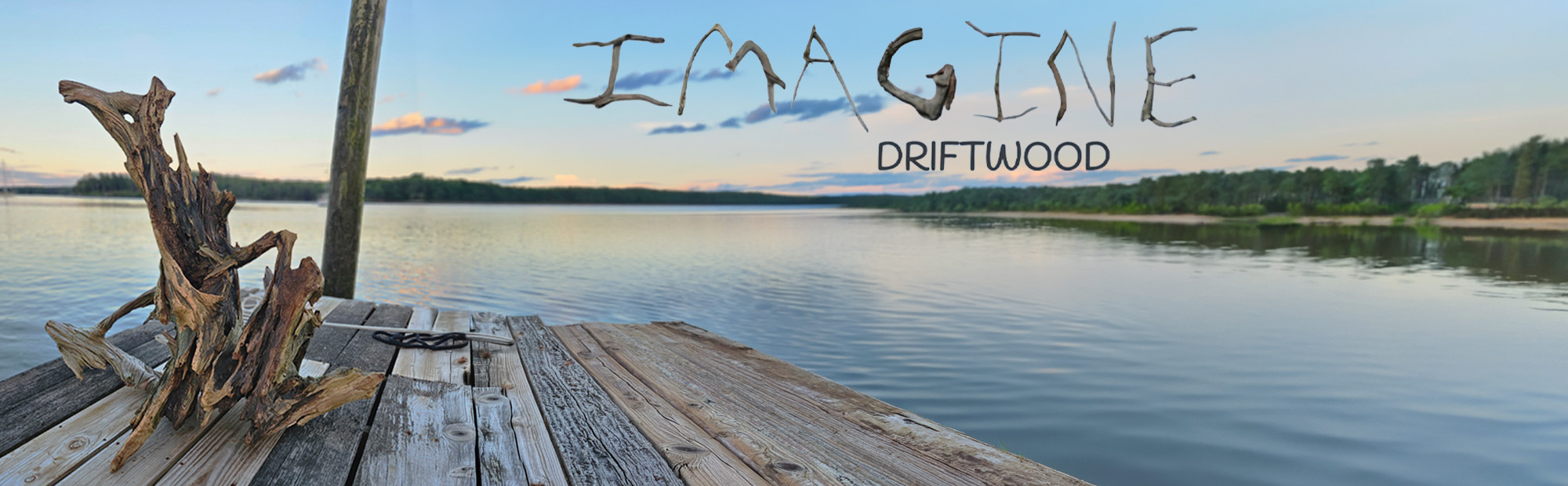 Imagine Driftwood by Ann Sparling