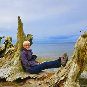 ann-driftwood